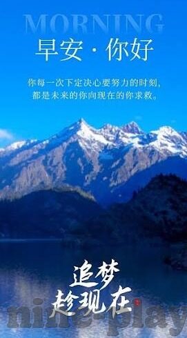 310比分足球-深度解析,310比分背后的足球博弈与数据密码