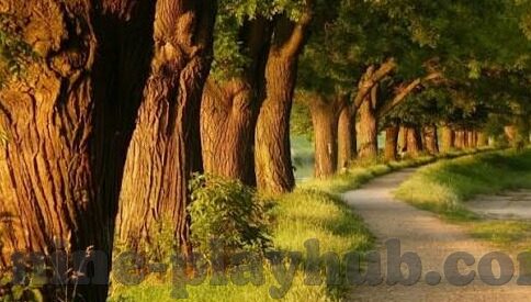 延期足球比分怎么算钱-延期足球比赛比分结算,规则、计算与注意事项全解析