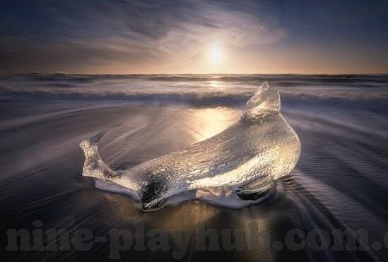 足球比分直播 企鹅-企鹅平台,足球比分直播的实时盛宴与深度体验