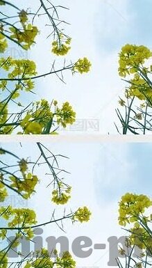 足球热门比分网-足球热门比分网,球迷的实时信息港湾与数据分析宝库